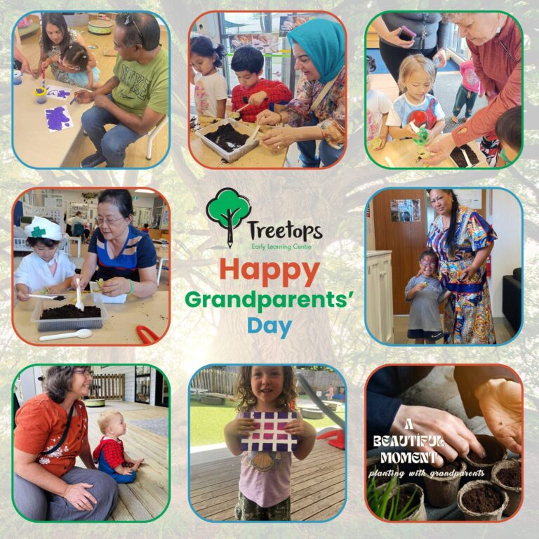 Grandparents' Day At Treetops Early Childcare Centres In Pukekohe And Botany Auckland