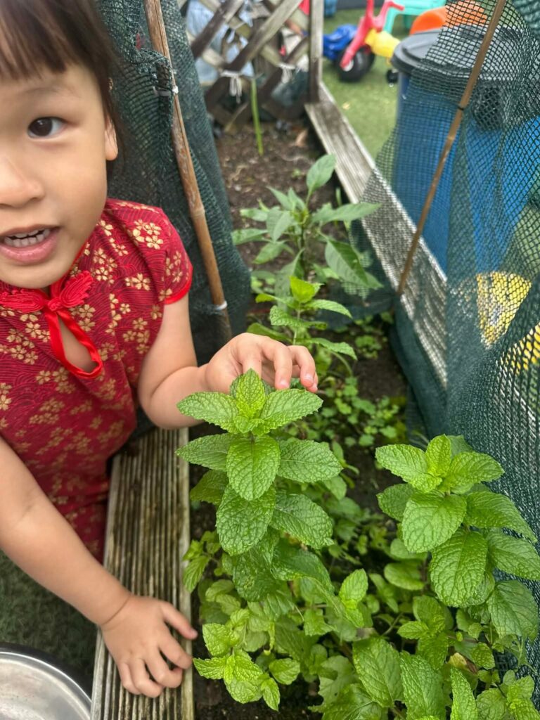 Learning about nature is one of the most valuable lessons children can learn where best than at daycare
